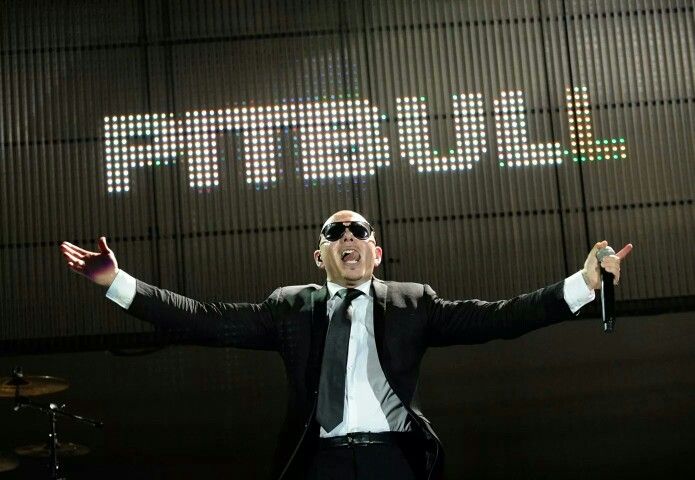 PITBULL